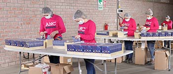 ANC Logística Integral